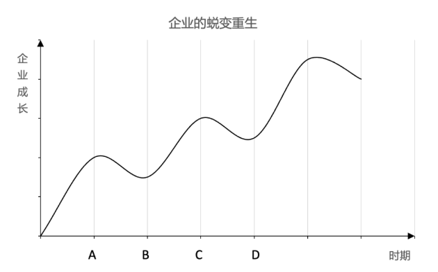 企业蜕变.png